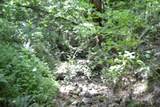 425 Baugh Hollow Ln - Photo 37