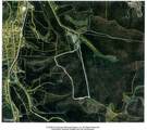 425 Baugh Hollow Ln - Photo 48