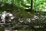 425 Baugh Hollow Ln - Photo 8