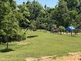 479 Horseshoe Bend Rd - Photo 8
