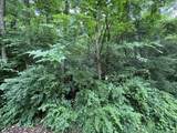 163 Dal Brown Road - Photo 4