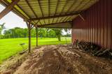 1113 E Robertson Rd - Photo 37