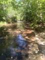 29 Gibbs Rd - Photo 14