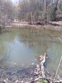 29 Gibbs Rd - Photo 9