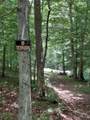 29 Gibbs Rd - Photo 10