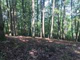 25 Piney Knob Drive - Photo 1