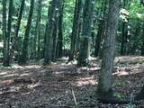 25 Piney Knob Drive - Photo 3
