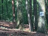 1 Piney Knob Drive - Photo 1