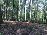 1 Piney Knob Drive - Photo 2