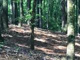 1 Piney Knob Drive - Photo 3