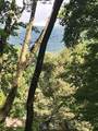 1 Piney Knob Drive - Photo 4