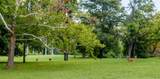 1735 Cedarcroft Dr - Photo 4