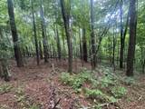0 Johnson Hollow Rd - Photo 9