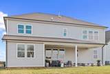 812 Molly Lane - Photo 47