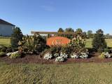 812 Molly Lane - Photo 48