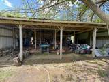 59 Hardin Loop - Photo 39