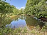 59 Hardin Loop - Photo 44