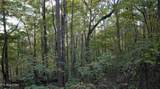 0 Turners Bend Rd - Photo 14