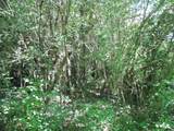 0 Matthews Hollow Rd - Photo 2