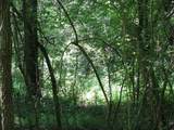 0 Matthews Hollow Rd - Photo 13