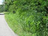 0 Matthews Hollow Rd - Photo 14