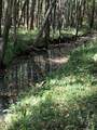 0 Matthews Hollow Rd - Photo 17