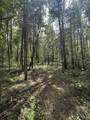 0 Matthews Hollow Rd - Photo 19