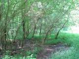 0 Matthews Hollow Rd - Photo 3