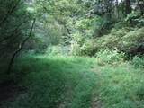 0 Matthews Hollow Rd - Photo 4