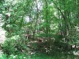 0 Matthews Hollow Rd - Photo 5