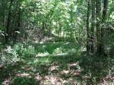 0 Matthews Hollow Rd - Photo 6
