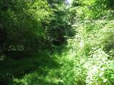 0 Matthews Hollow Rd - Photo 7