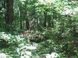 0 Matthews Hollow Rd - Photo 8