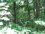 0 Matthews Hollow Rd - Photo 9