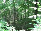 0 Matthews Hollow Rd - Photo 10