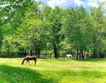 527 Reads Lake Road - Photo 51