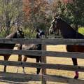 527 Reads Lake Road - Photo 74