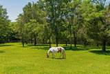 527 Reads Lake Road - Photo 75