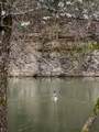 527 Reads Lake Road - Photo 82