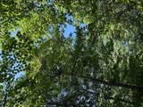 174 Volunteer Street - Photo 41