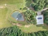 635 Seven Mile Ridge Rd - Photo 41