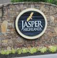 0 Jasper Highlands Boulevard - Photo 4
