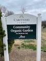 7363 Carothers Road - Photo 23