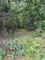257 Saddlebrook Dr - Photo 13