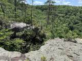 1313 Flat Rock Rd - Photo 22