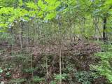 0 Fortunato Drive - Photo 13