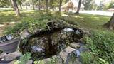 105 Jill Dr - Photo 5
