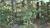 580 Pleasant Cemetery Lane - Photo 11