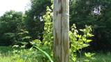 580 Pleasant Cemetery Lane - Photo 28
