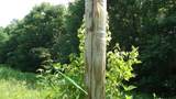 580 Pleasant Cemetery Lane - Photo 29